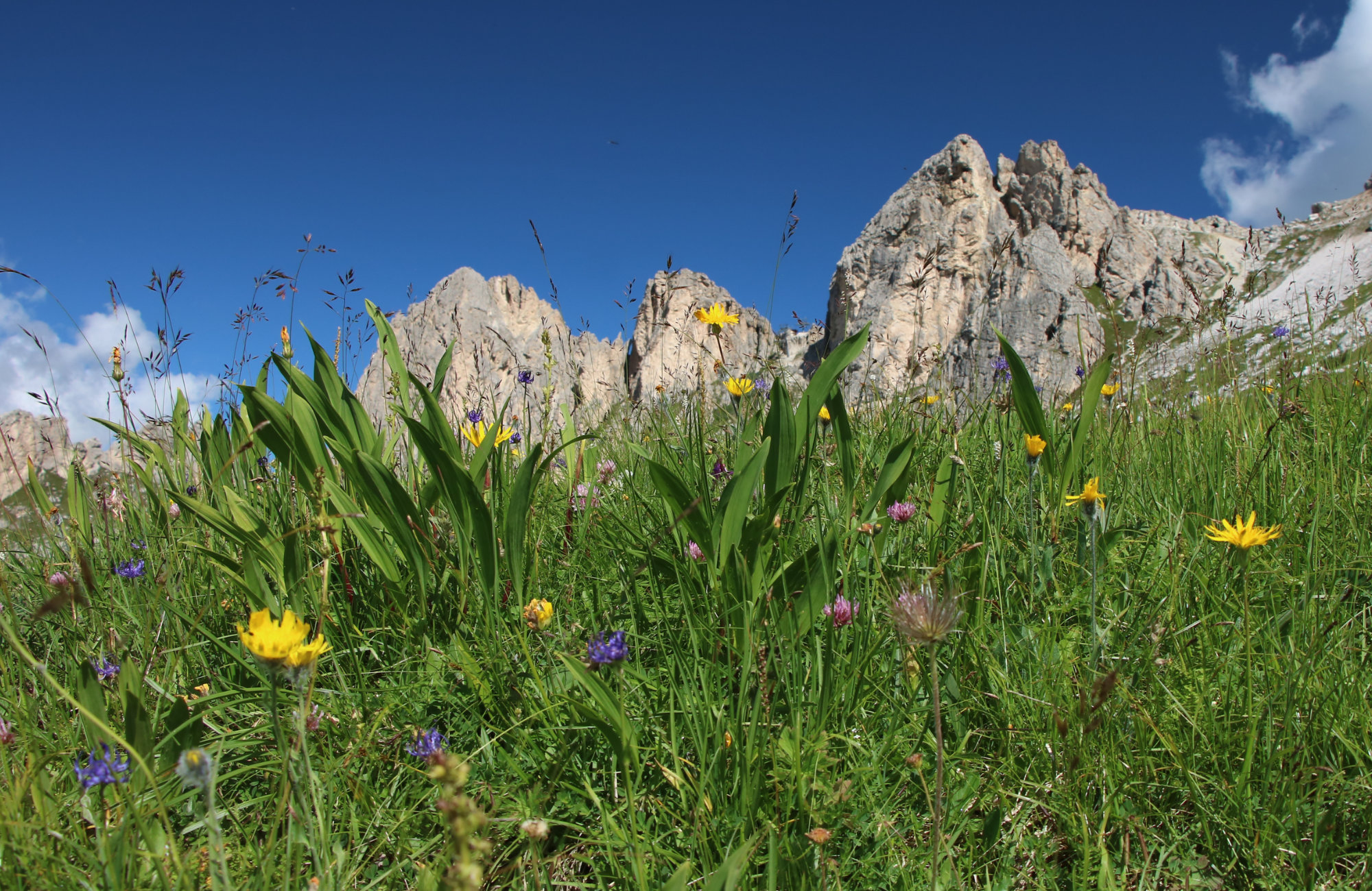 Dolomiten Bellunesi im Sonneschein