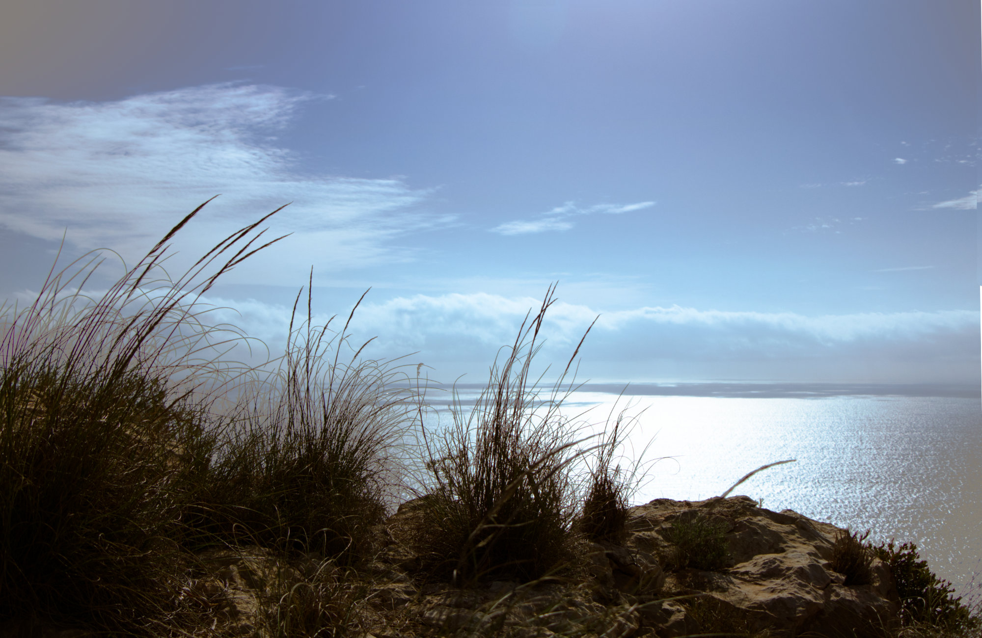 Meerblick mit Gräser